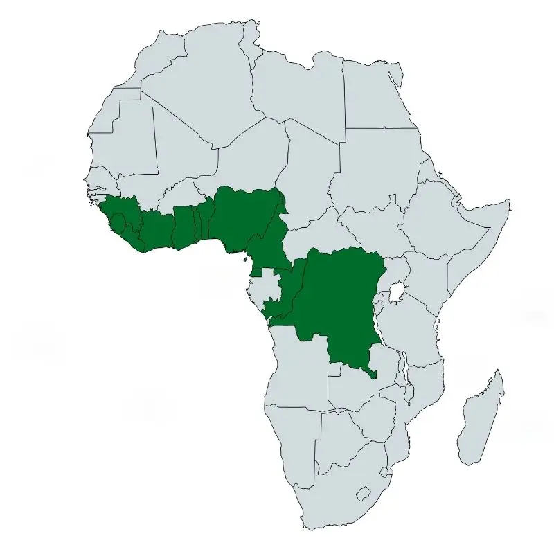 Carte habitat naturel Killie (Aphyosemion sp.) — Afrique — Bassins fluviaux