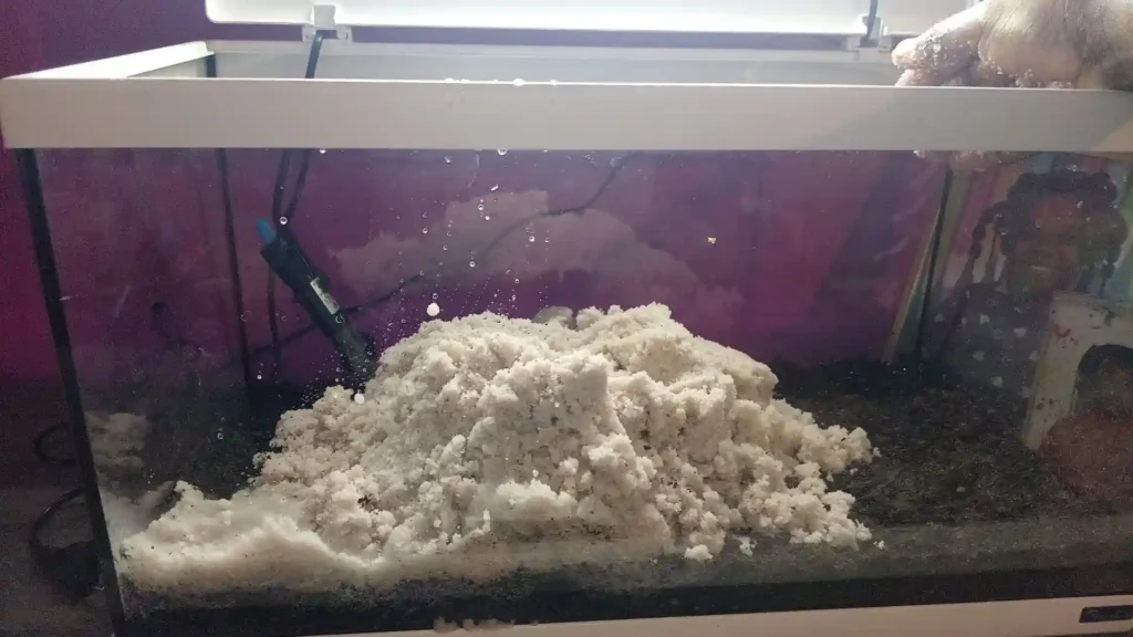 Mise en place d'un tas de sable de filtration de piscine humide sur le substrat nutritif d'un aquarium Low-tech.