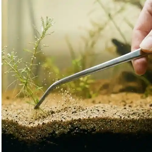 Kit Aquascaping Inox