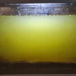 Aquarium eau verte trouble – Solution naturelle Low-tech