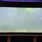 Aquarium avec une eau trouble et laiteuse typique d'un bloom bactérien lors du cycle de l'azote.