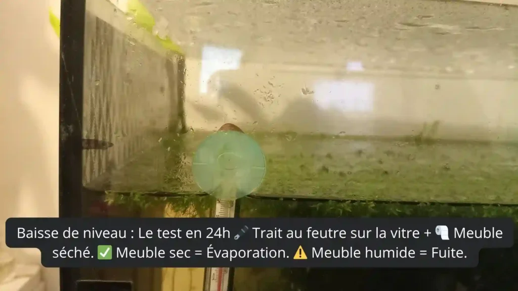 Test du trait au feutre pour distinguer fuite et évaporation sur un aquarium Low-tech
