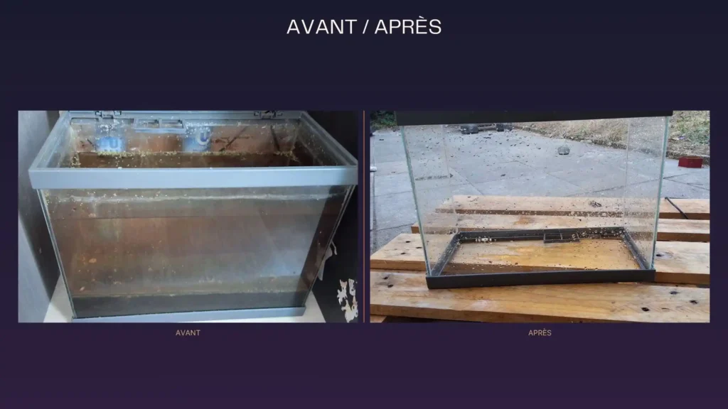 Aquarium d'occasion très sale avant et après nettoyage au vinaigre blanc