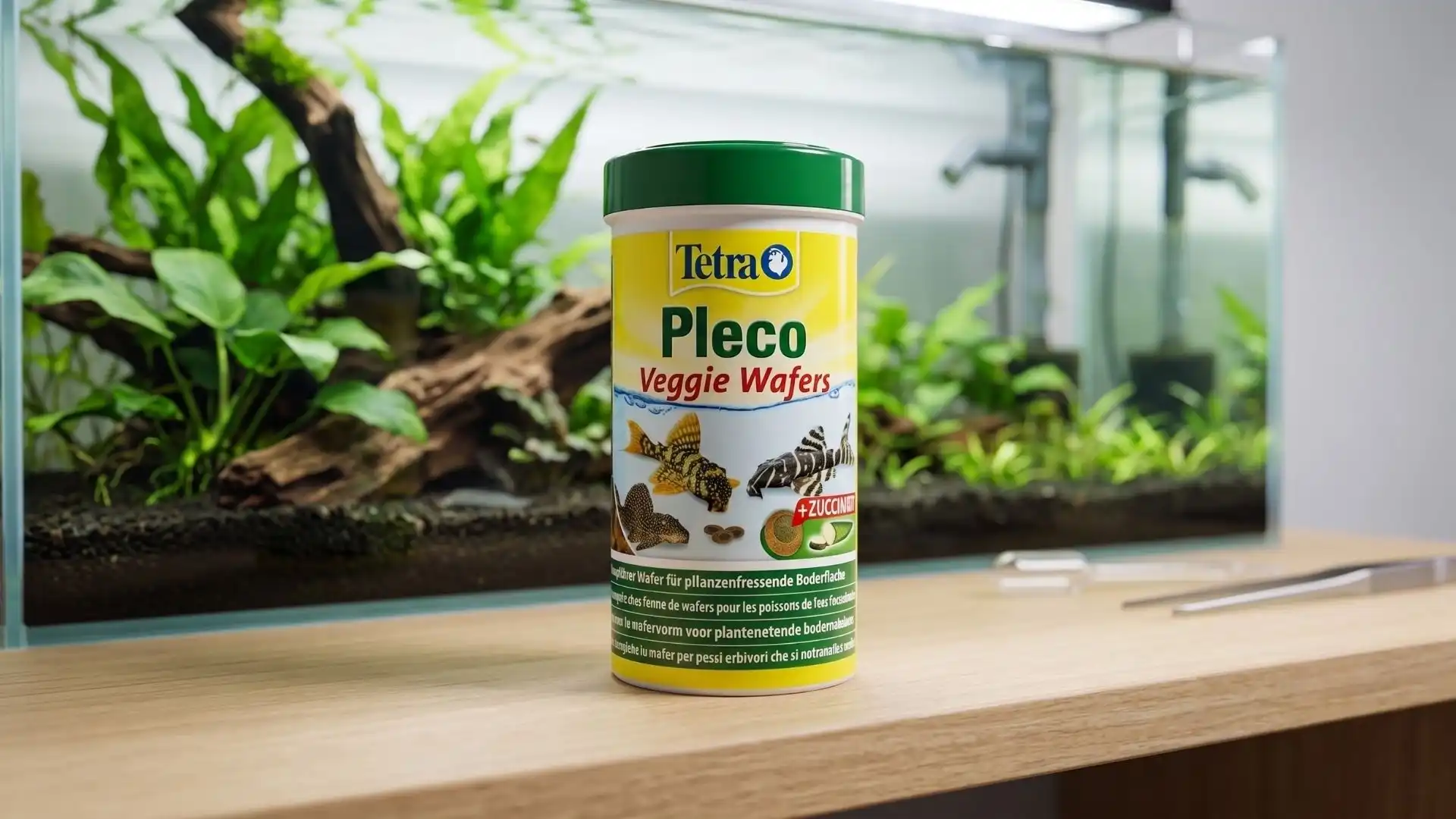 Boîte de nourriture Tetra Pleco Veggie Wafers pour Ancistrus devant un aquarium planté